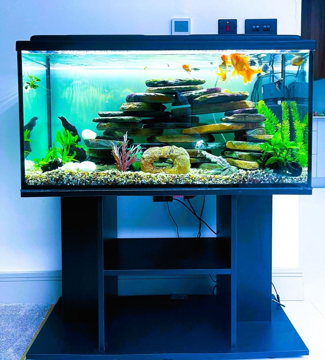 Rock formation aquarium with structured stone hardscape — AD Aquatics installation